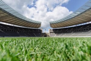 Rasen im Olympiastadion Berlin